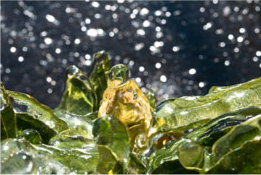 rioecultura : EXPO Nordic Seasons [coletiva]